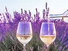 BEST 6 FRENCH WINE REGIONS - MAY 19TH