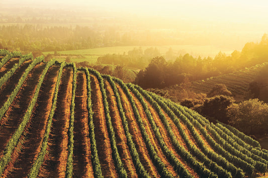 Nuances of Italian vs. California Wines - April 15